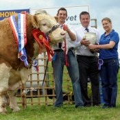 banwy_t_rex_senior_bull_male__overall_champ