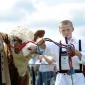 ronan_touhy_young_handlers_class_winner_with_darla_boyd