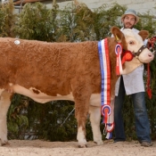 Female Champion Jennalyn Flora Nora €3200