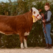 Lisnacrann Elderberry €3000