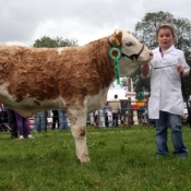 Tullow Show 2011 January Heifer Calf Champion 'Shiloh Herd Classy Lady'