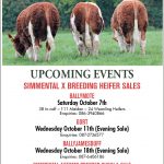 Autumn Sales Dates 2023