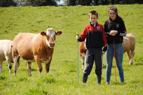 Read more about the article Full time suckler farmer in Co. Mayo