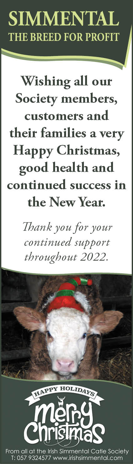 Read more about the article Season’s Greetings