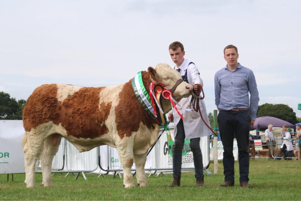 Read more about the article Cappamore Show hosts South West Finals