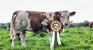 Class 23 no 24 Champion