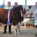 *****New Record set at venue – Tullamore Sale Report here from Friday April 28th*****