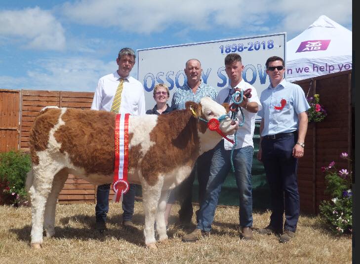 Read more about the article Animax sponsors South Eastern Club Autumn Calf Finals