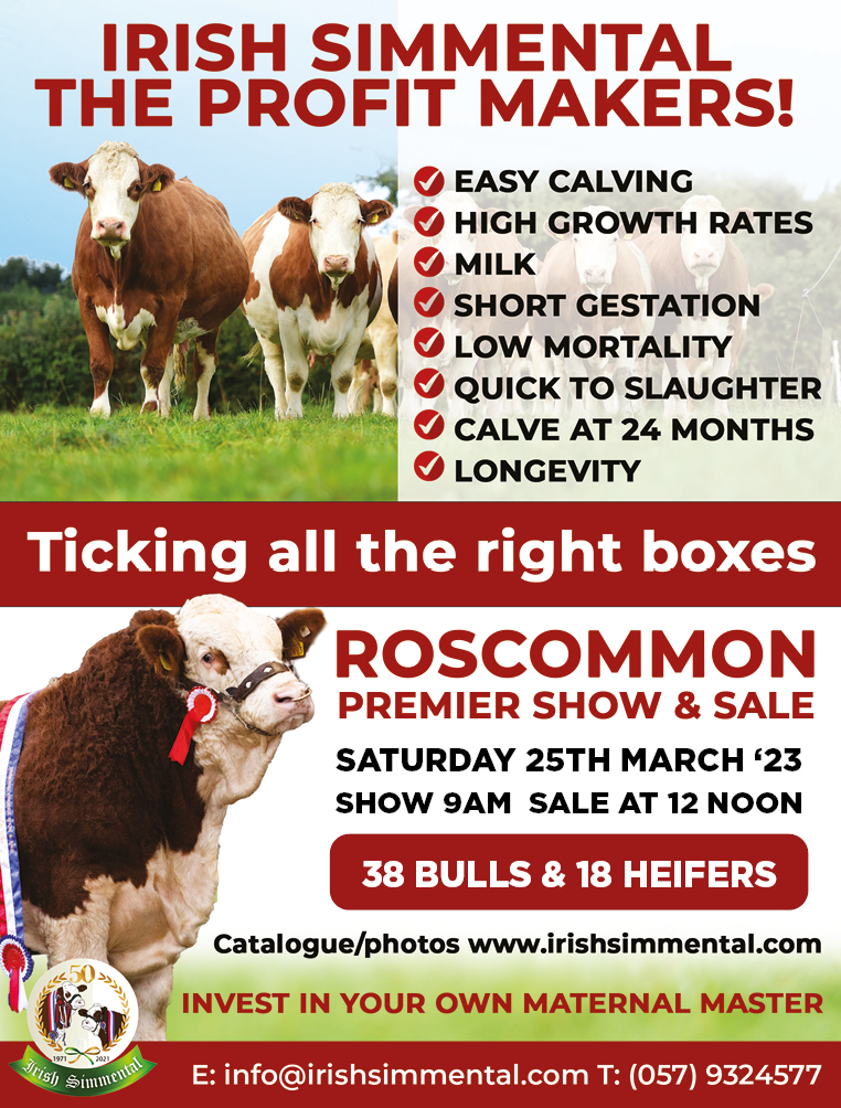 Read more about the article Save the Date!! Sat 25th March at Roscommon Mart