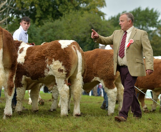 Read more about the article Strokestown Show 2019