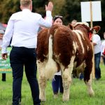 Results & Photo Gallery – Dovea Genetics National Simmental Calf Finals Sept 09th 2023 at Strokestown Show