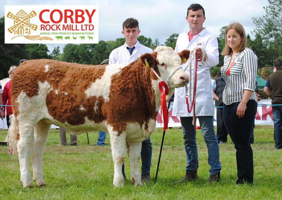 Read more about the article North Eastern Simmental Club Calf Finals