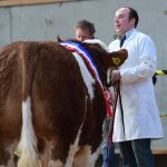 ***ENTRIES CLOSING THURSDAY 30TH MARCH*** Tullamore Sale Entry Form Here for Friday April 28th Evening Sale at 7pm