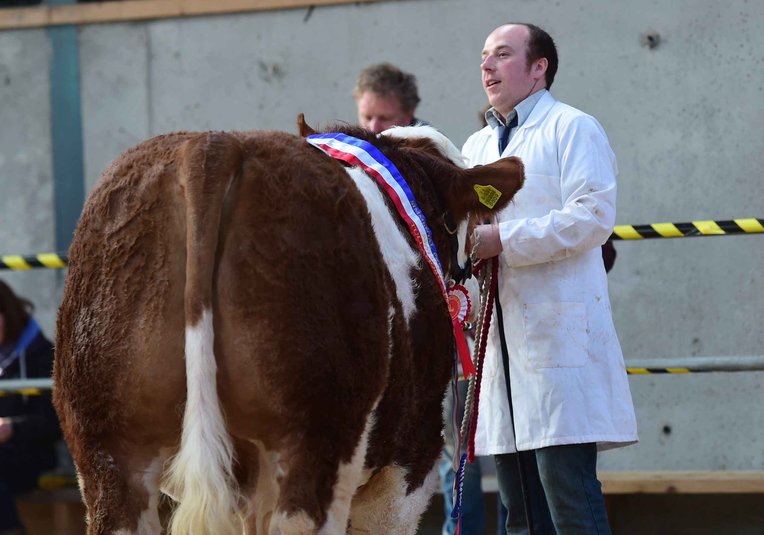 Read more about the article Tullamore Sale Entry Form Here for Friday April 28th Evening Sale at 7pm