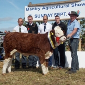 heifer_1st_raceview_evita_winty