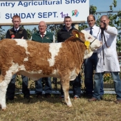 heifer_3rd_corbally_eternal