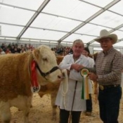 Champion Female 'Seepa Roxy'
