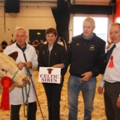 Bull Calf Winner