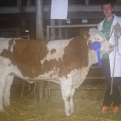 January Heifer 2nd