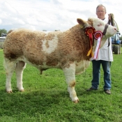 Cappamore 2011- John O'Connell, Crecora Mills Champion Jan '11 Bull Calf, Martin Doohan with 'Highstreet Crunchie'