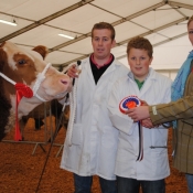 Carrick-On-Shannon Winter Fair 2012