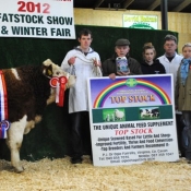 Carrick-On-Shannon Winter Fair 2012 National Weanling Simmental X Bull Calf Champion