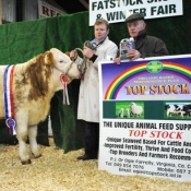 Carrick-On-Shannon Winter Fair 2012 Reserve Champion