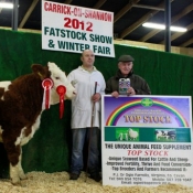 Carrick-On-Shannon Winter Fair 2012 Yearling Simmental X Heifer Class Winner