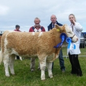 Agri Lloyd Western Club September Heifer Reserve Champion 'Zelda Beauty'