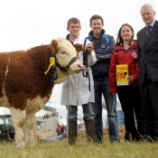 National Yearling Heifer 3rd 'Broomfield Belle'