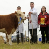 National Yearling Heifer Reserve 'Brookwood Beauty'