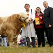 Ploughing Bull 3rd 'Auroch Bullet'