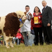 Ploughing Bull Reserve Champion 'Doocastle Ben'