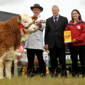 Yearling Heifer Champion 'Raceview Beauty Matilda'