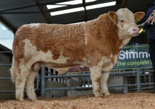 'Curaheen Diesel ET' €6800