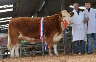 'Fairymount Carolina' €3350