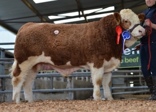 'Seaview Prince Charming' €4000