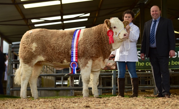 Weanling Heifer Champion 'Tawley Hanna' €10700