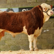 Lot 03 'Drumnagar Beamer' €4800
