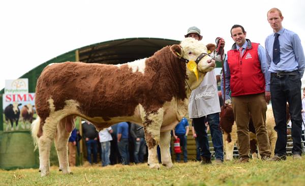 Agri Care Nutrition 2017 3rd Bull 'Clonagh Henry Star'