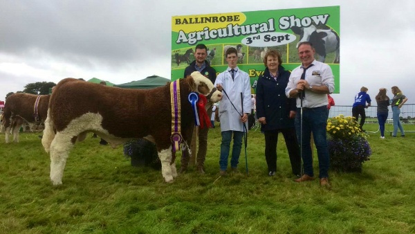 Ballinrobe 2017 Reserve Champion, Western Club Baby February Bull Winner & YISA 1st Place Winner 'Lissadell Jackpot VIP'