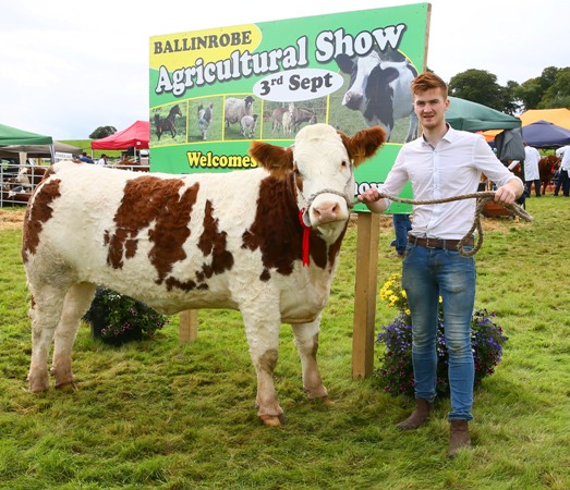 Ballinrobe 2017 Western Club Senior Heifer Class Winner 'Fairymount Genius'