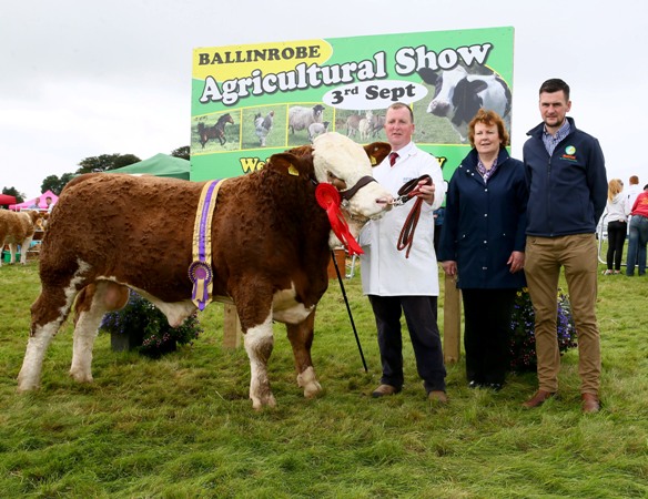 Ballinrobe 2017 Western Club Champion Connacht Yearling Bull Calf sponsored by Aurivo. Photo: © Michael Donnelly