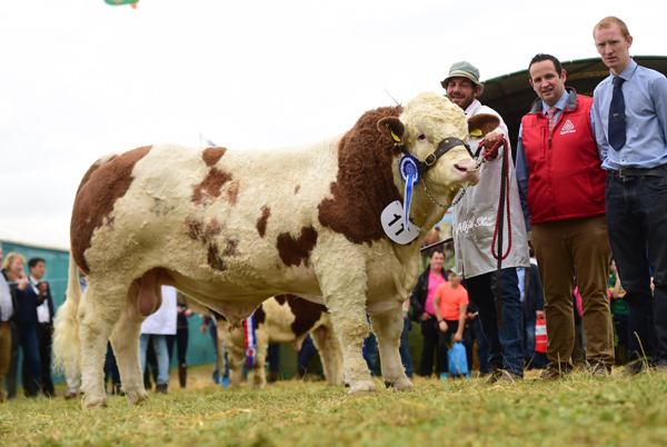 Agri Care Nutrition 2017 Reserve Champion 'Clonagh Hardman'