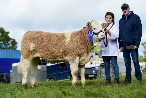 Strokestown 2017 Reserve Senior Heifer 'Tawley Hanna'