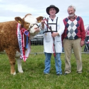 Enniscrone 2011 Overall Simmental Champion & Interbreed Champion 'Rathlee Andrea'