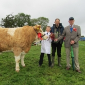 Newcastlewest 2011 Champion 'Fearna Aspen'