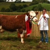 Riverstown 2011 Champion 'Fearna Tiffany'