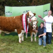 Strokestown 2011 Champion 'Fearna Tiffany'