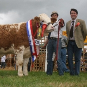 Tinahely 2011 Champion 'Clonagh Absolutely Fabulous'
